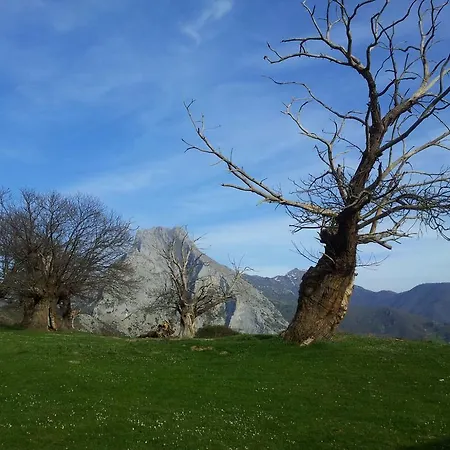 Casa Leny La Vega (Vega de Liebana, Cantabria)
