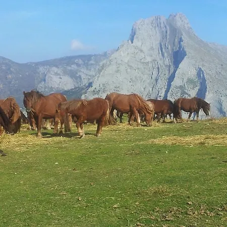 Casa Leny Penzion 3*
