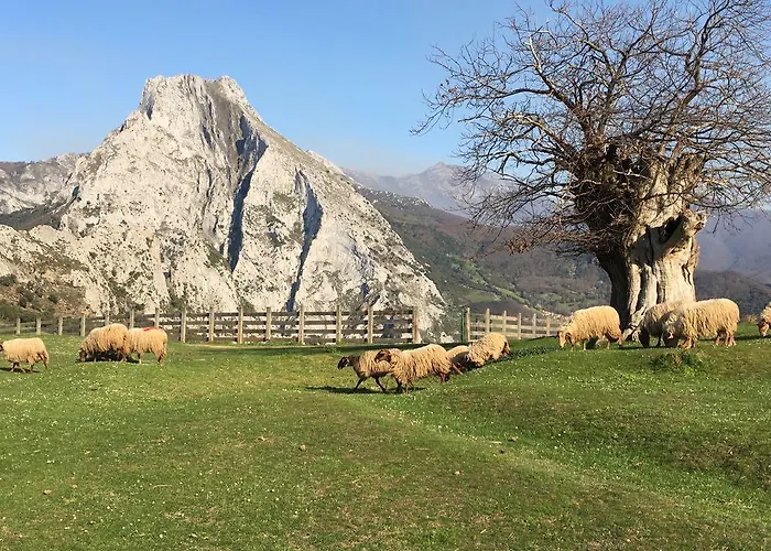 Casa Leny Guest house