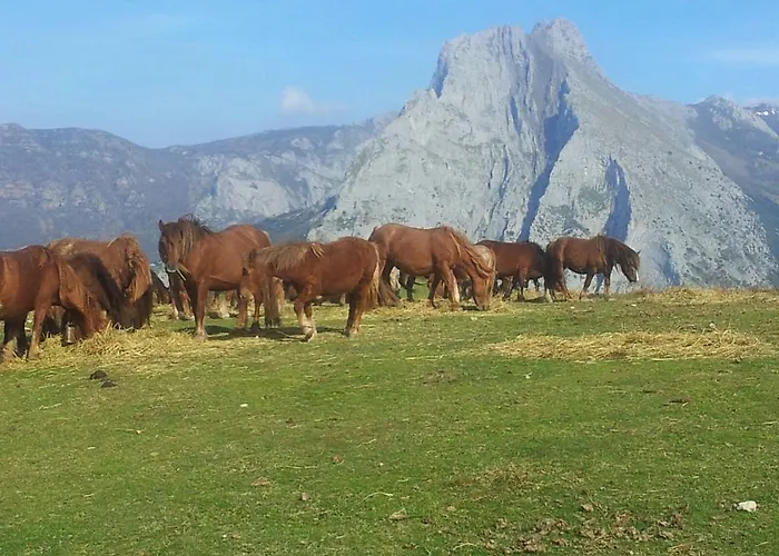 Casa Leny Guest house 3*