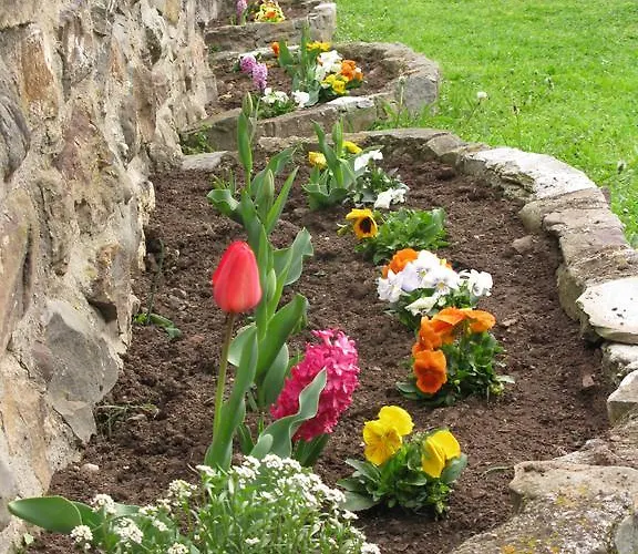 Casa Leny Guest house 3*